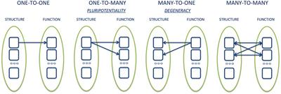 Basic Emotions in Human Neuroscience: Neuroimaging and Beyond